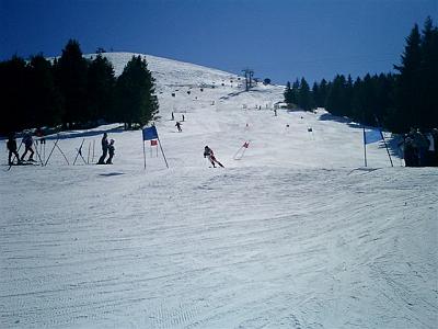 Pezz13Mar05 010